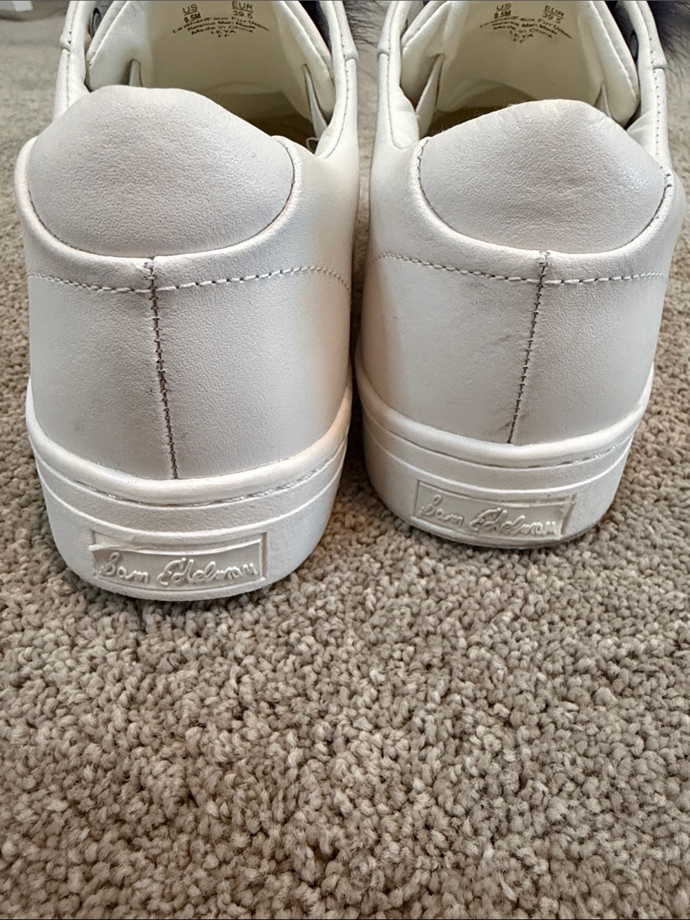 Sam Edelman Sneakers - Picture 2 of 6